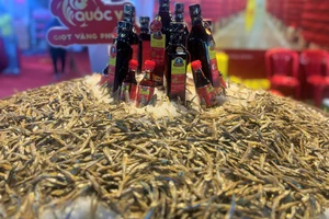 Nước mắm truyền thống gồm cá và muối. Ảnh: TÚ UYÊN