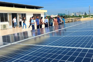 Thực hư nằm ngủ cũng có tiền nhờ bán tín chỉ carbon thu cả triệu USD