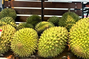 Năm nay xuất khẩu sầu riêng dự kiến tăng hơn năm ngoái 1 tỉ USD