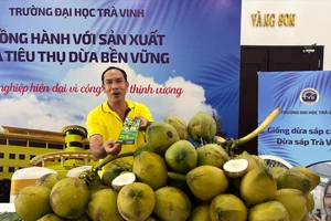 Có 'visa' chính ngạch, năm nay xuất khẩu dừa Việt có thể mang về 1 tỉ USD