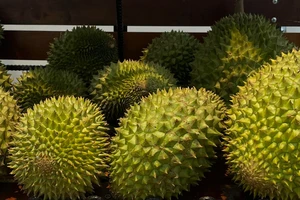 Vì sao Châu Âu nâng tần suất kiểm tra sầu riêng, thanh long...của Việt Nam?