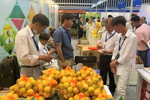 Nhiều siêu thị nước ngoài tìm mua nông sản, thực phẩm Việt 