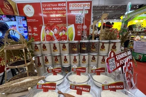 Siết chặt điều kiện kinh doanh xuất khẩu gạo