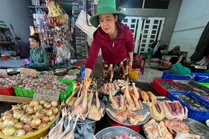 Đề xuất gỡ vướng về hóa đơn điện tử cho tiểu thương, hộ kinh doanh nhỏ lẻ