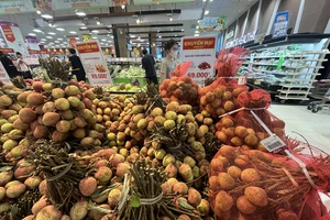 Giữa thông tin vải thiều Trung Quốc giá 700.000 đồng/kg, vải thiều Việt Nam tự tin vào vụ mới