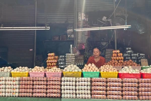 Việt Nam dự kiến nhập gần 1 triệu trứng gia cầm trong năm tới