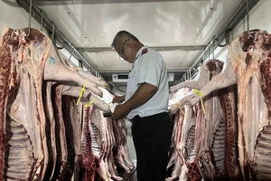 TP.HCM trình phương án thí điểm Sàn Giao dịch thịt heo