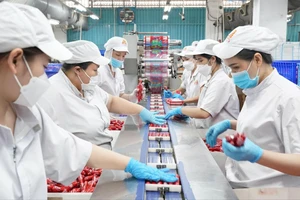 Doanh nghiệp tăng tốc sản xuất hàng Tết, chấp nhận giảm lợi nhuận để giữ giá