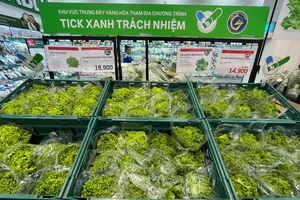 TP.HCM: Doanh thu bán lẻ tăng 14,5%, dồn lực kích cầu tết Bính Ngọ