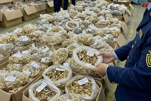 Phát hiện hơn 194.000 sản phẩm vàng trang sức, mỹ phẩm... lậu trên mạng 