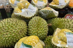 Xuất nhập khẩu năm 2025 cán mốc 930 tỉ USD, Việt Nam xuất siêu hơn 20 tỉ USD