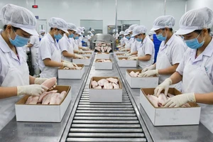 Thủy sản Việt Nam bứt phá vươn lên vị trí tốp 3 tại Singapore