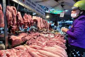 Giá heo hơi tăng mạnh dịp Tết 2026: Vì sao giá tăng nhưng chợ ế?