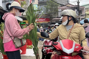 Người dân Đà Nẵng hối hả mua sắm ngày 29 tháng Chạp