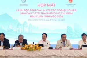 Nhiều dự án tỉ đô tại Gia Lai chờ đón doanh nghiệp TP.HCM