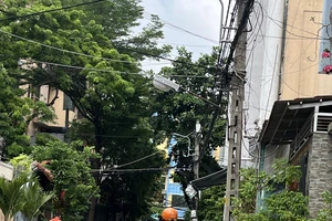 Giá gas giảm 20.000 - 30.000 đồng/bình 12kg từ hôm nay