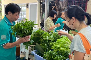 Hành trình 10 năm định hình thói quen tiêu dùng xanh tại TP.HCM