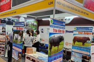 Dự kiến kim ngạch xuất khẩu sản phẩm chăn nuôi năm 2026 đạt 700-800 triệu USD