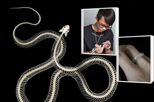 Độc đáo Gen Z làm trang sức từ xương rắn khiến dân mạng thích thú 