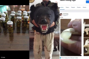 Lãnh 5 năm 6 tháng tù do tàng trữ số lượng lớn tiêu bản động vật quý hiếm 