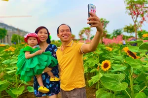 Nhiều người 'check in' cánh đồng hoa hướng dương ở TP Thủ Đức
