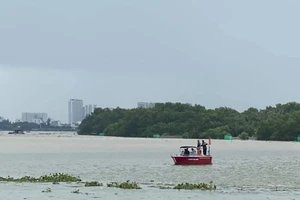 Đang đi xe máy, nam thanh niên xuống xe nhảy cầu Phú Mỹ