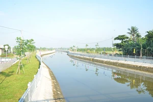 Ban quản lý quận 12 thiếu sót, làm tăng chi phí hơn 1,5 tỉ 