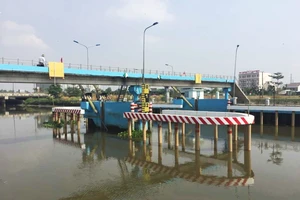 Lấy tiền của công ty chi cho người thân đi du lịch