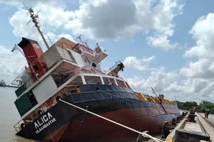 Tàu chở container lật tại cảng Hiệp Phước