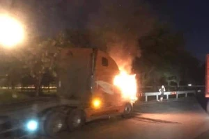 Xe container đang đậu thì bốc cháy tại TP Thủ Đức