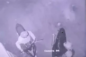 Clip nhóm trộm cầm mã tấu, bình hơi cay thản nhiên lấy xe máy ở cảng Phú Hữu