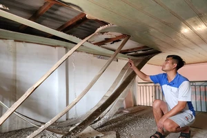 Có nhà nhưng không ở được vì vướng lưới điện trung thế 