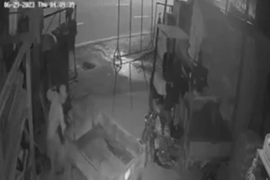 Camera ghi cảnh trộm vào cửa hàng trộm xe ba gác ở Thủ Đức