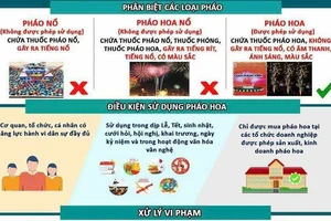 Vi phạm về quản lý, sử dụng pháo có thể bị phạt tù lên đến 20 năm