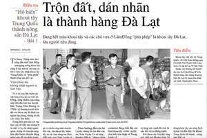 Chợ đầu mối huyện Đức Trọng: Không để tiểu thương kinh doanh nông sản xuất xứ ngoài tỉnh Lâm Đồng