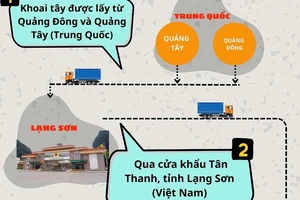 Infographic: Đường đi của khoai tây Trung Quốc thành nông sản Đà Lạt