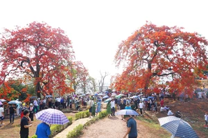 Hàng ngàn người tham quan Đồi A1 trước ngày đại lễ Chiến thắng Điện Biên Phủ