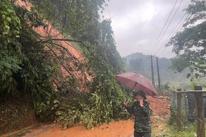 Tỉnh Cao Bằng đang tích cực tìm kiếm 20 người mất tích do sạt lở đất