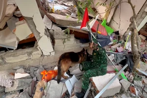 Video: Khoảnh khắc chó nghiệp vụ của Biên phòng phát hiện nạn nhân đầu tiên