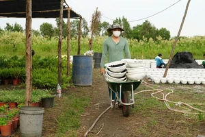 Video: Làng hoa quận 12 thấp thỏm chuẩn bị hoa Tết 2022 