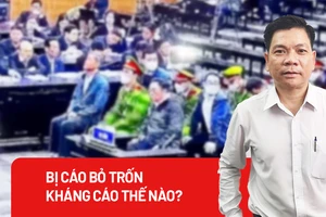 Luật sư có được kháng cáo thay 8 bị cáo bỏ trốn trong vụ AIC?