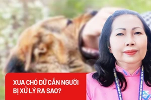 Xua chó dữ cắn người, bị xử lý ra sao?