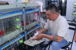 Video: Trào lưu mua ‘hà mã’ về cưng nựng mỗi ngày