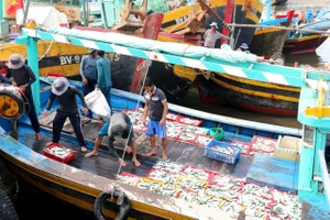 Video: Bình Thuận phát triển kinh tế biển gắn với bảo vệ môi trường 