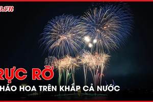 Video: Rực rỡ pháo hoa đón chào năm mới Giáp Thìn 2024 trên khắp cả nước