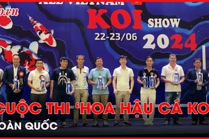 Hàng trăm cá koi thi 'sắc đẹp' tại Triển lãm cá koi toàn quốc 2024