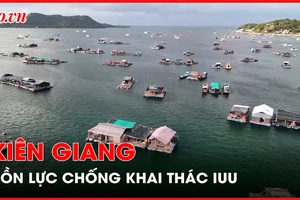 Tìm giải pháp khắc phục tồn tại trong chống khai thác IUU, phát triển kinh tế biển bền vững tại Kiên Giang