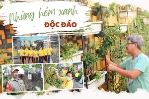 Ấm áp hẻm Sài Gòn – Kỳ 4: Những con hẻm xanh độc đáo