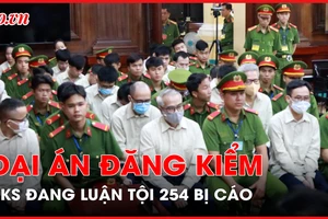 Viện kiểm sát đang luận tội 254 bị cáo trong đại án đăng kiểm