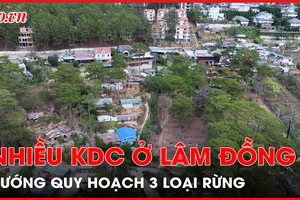 Nhiều khu dân cư ở Lâm Đồng vướng quy hoạch 3 loại rừng 